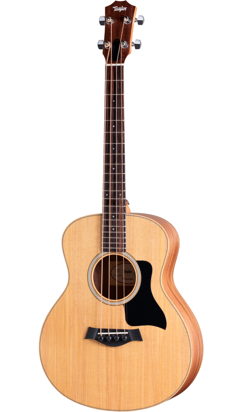 ギター Taylor  / GS Mini-e ES-2 Taylor GS Mini-e Mahogany ES2 MINT | Reverb